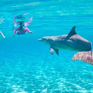 Hurghada Excursions