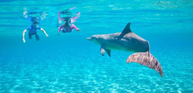 Hurghada Excursions